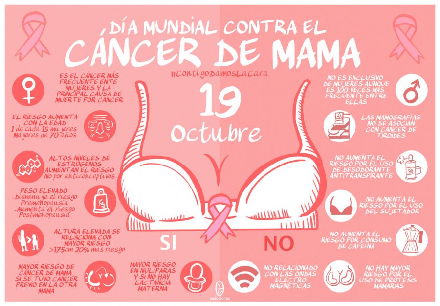 Cancer de mama 19