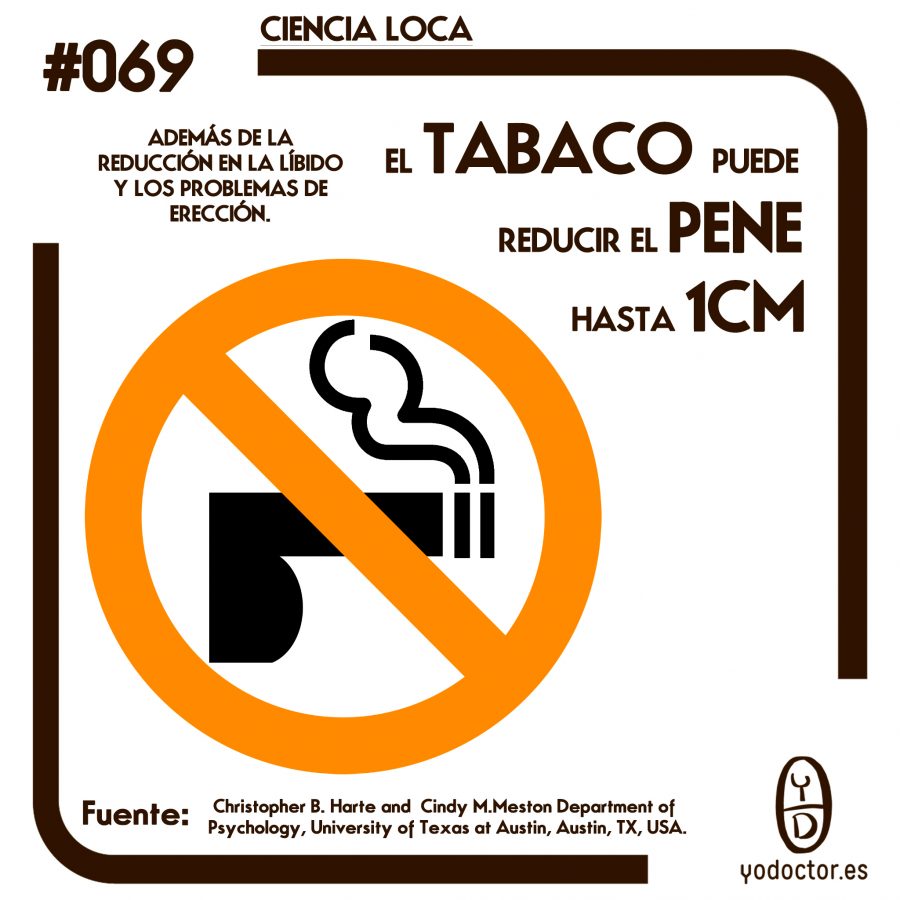Ciencia Loca 8