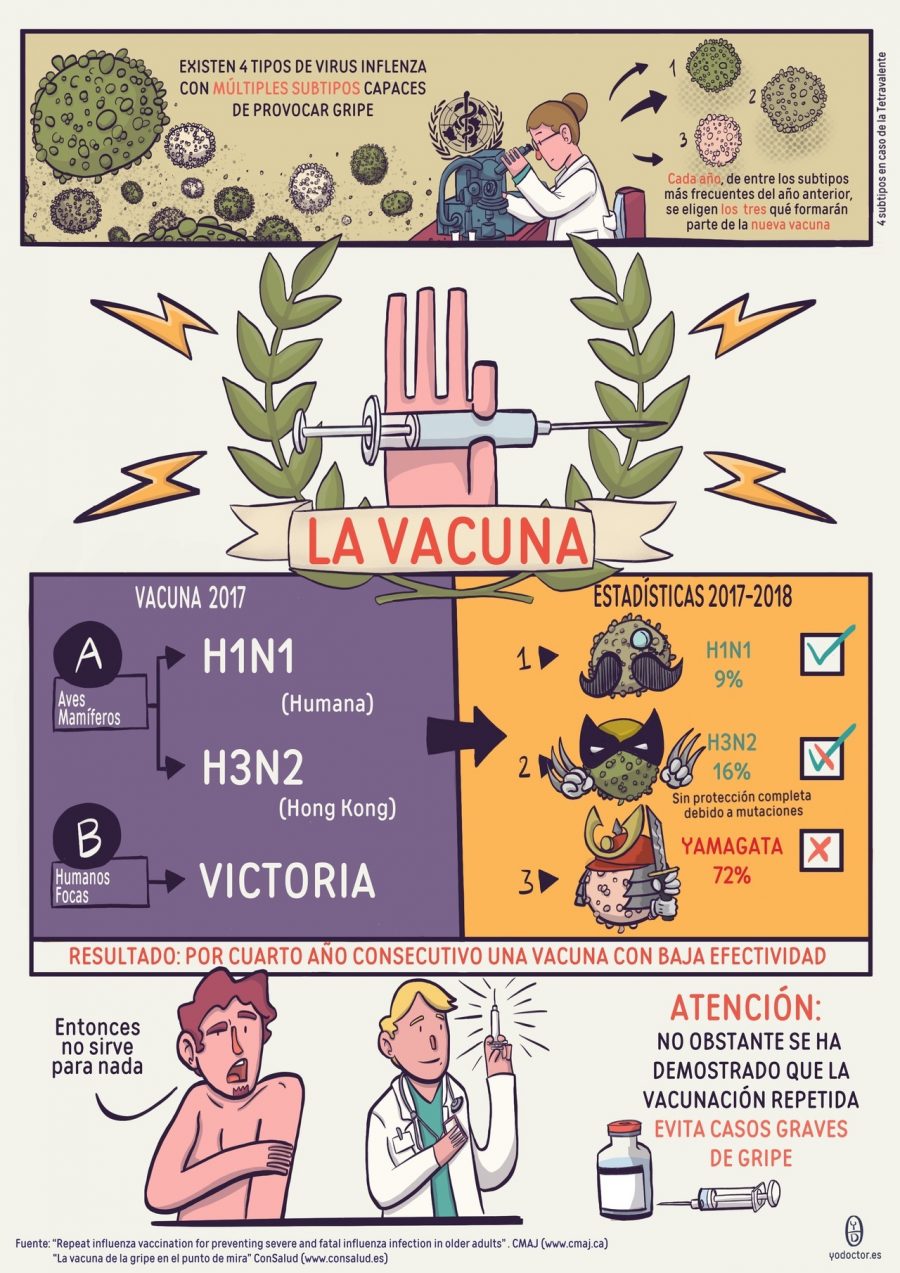 Gripe 2017-2018