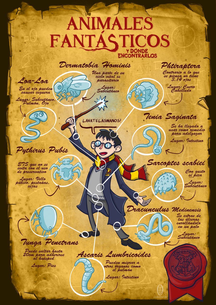 Harry_potter_semifinal